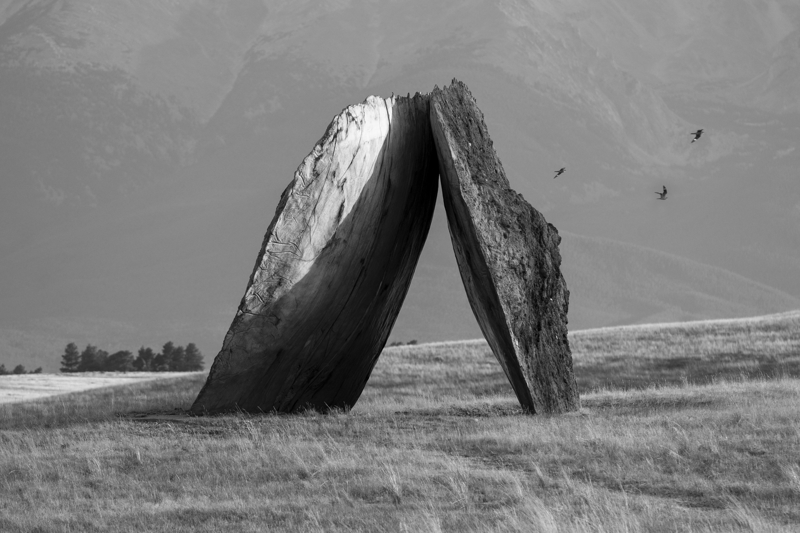 Structures of Landscape Inverted Portal in Fishtail